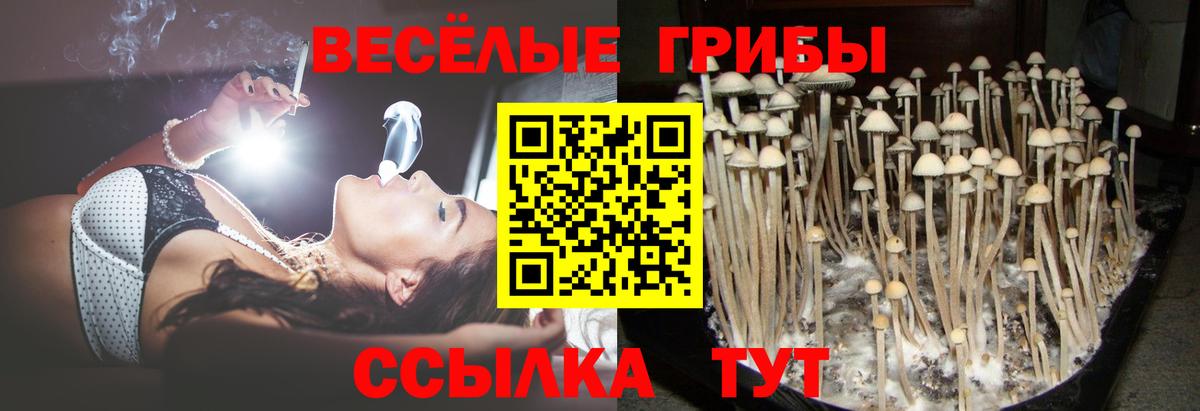 Галлюциногенные грибы прущие грибы Комсомольск-на-Амуре